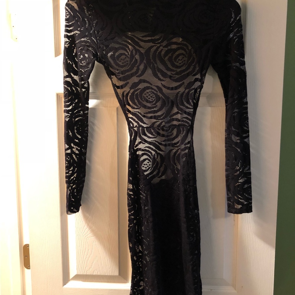 Black Roses - Picture 5 of 6